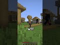 Y ESTA TORTUGA?  #minecraft #shorts