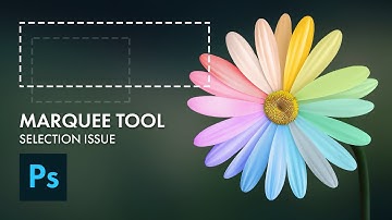How to resolve Marquee tool selection issues in Adobe Photoshop