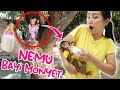 NEMU BAYI MONYET DI POHON !! HEWAN LUCU MINUM SUSU ! Vlog Lucu | CnX Adventurers