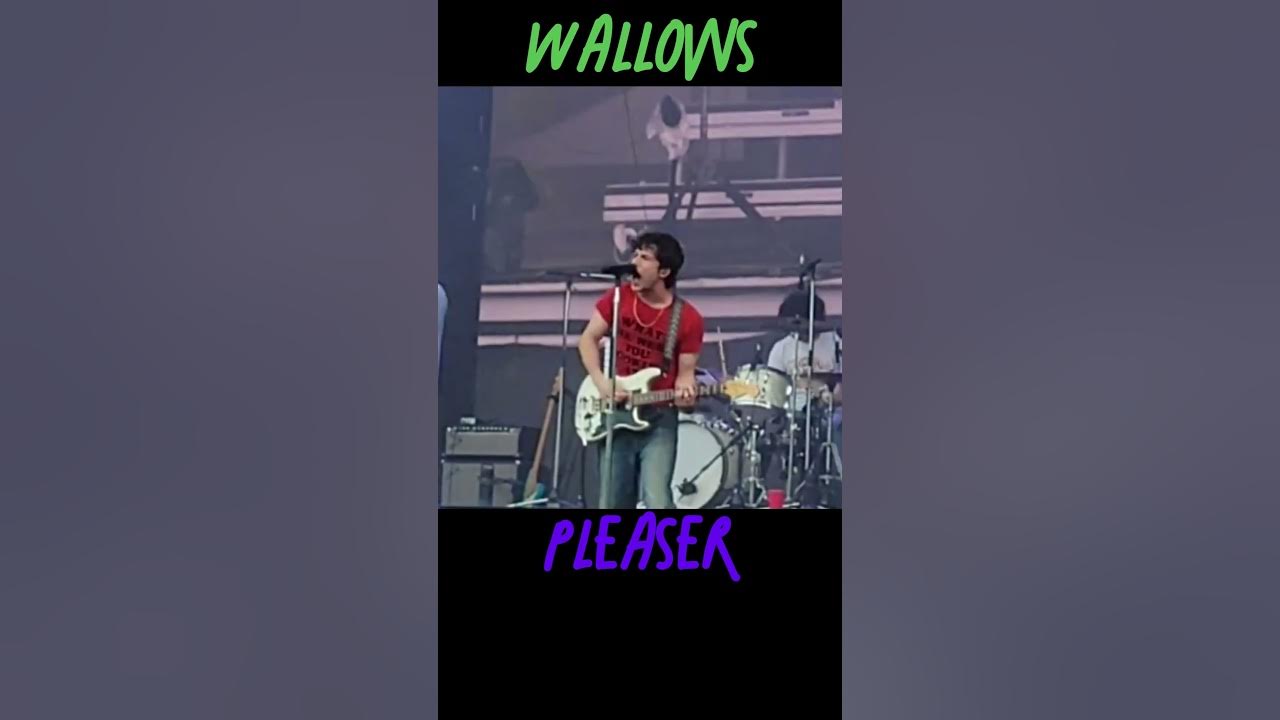 Wallows - Pleaser III Wallows - Pleaser III