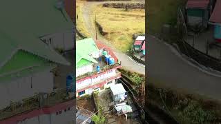 পাইন বনে হারিয়ে গেলাম। #offbeatdarjeeling  #offbeatnorthbengal #travel #ytshorts