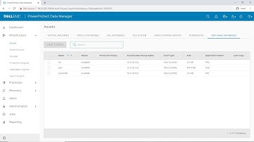 Protect Restore SAP Hana using Dell EMC PowerProtect
