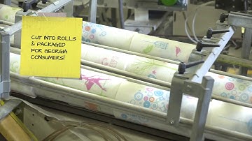 How Paper Towels Are Made From Trees | Georgia Forests