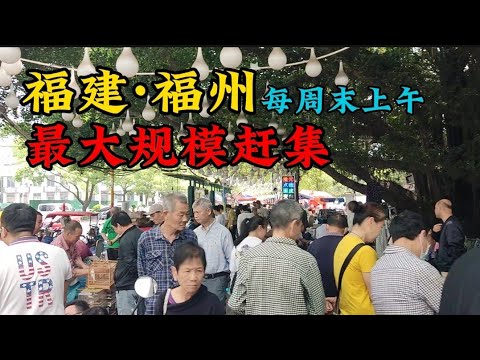 一口气看完《庆余年》第二季 全集 剧情解析 范闲假死归来，手持巴雷特狙杀庆帝