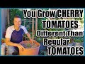 Grow Cherry Tomatoes in a Container