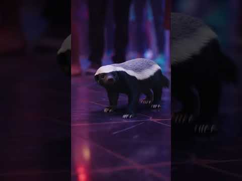 عسيلة دخلات Nightclub 555 والسكيوريتي وحلو معاها Asila Nightclub Chaos