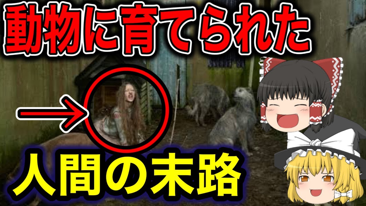【ゆっくり解説】実在した！動物に育てられた子供達の末路８選