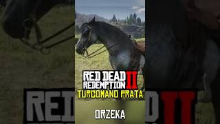 Turcomano Prata - Red Dead Redemption 2 #reddeadredemption2 #rdr2