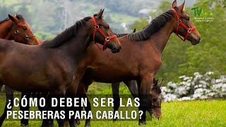 Cómo deben ser las pesebreras para caballos - TvAgro por Juan Gonzalo Angel Restrepo
