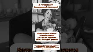 Почему застаивается желчь?!? Как помочь своему желчному быть здоровым ❤