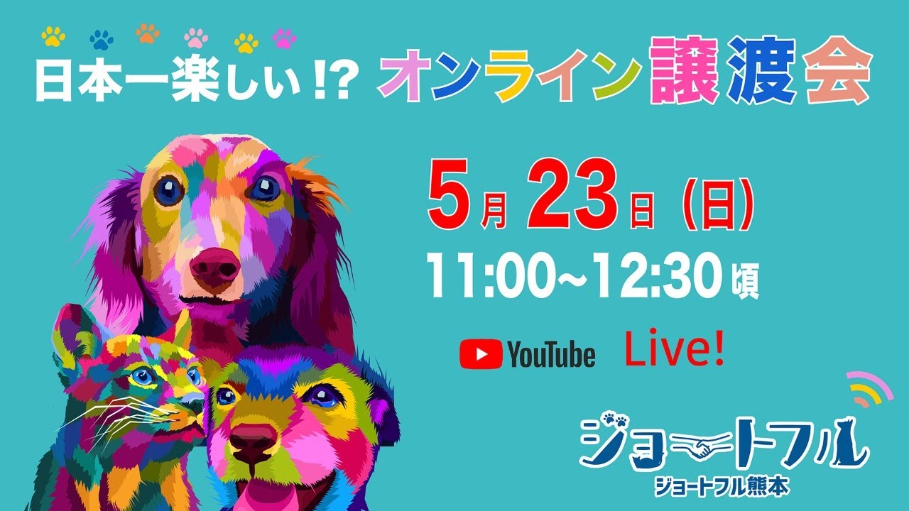 九州最大級 ジョートフルの楽しい保護犬猫の譲渡会 10月にサクラマチクマモトにて開催 ジョートフルのプレスリリース