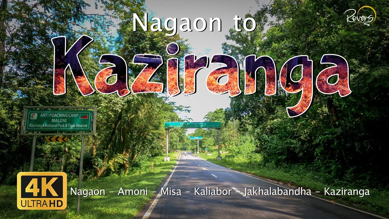 Guwahati to Kaziranga - EP2 | Nagaon to Kaziranga | Amoni, Kaliabor, Jakhalabandha |Assam - 4K Drive