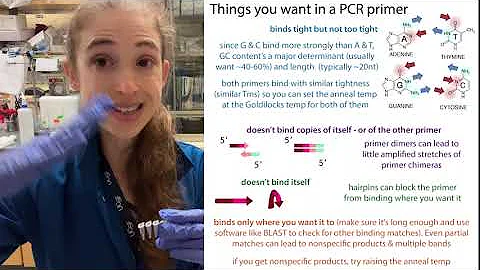 Tips for increasing your PCR specificity (decrease nonspecific product formation)