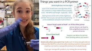 Tips for increasing your PCR specificity (decrease nonspecific product formation)