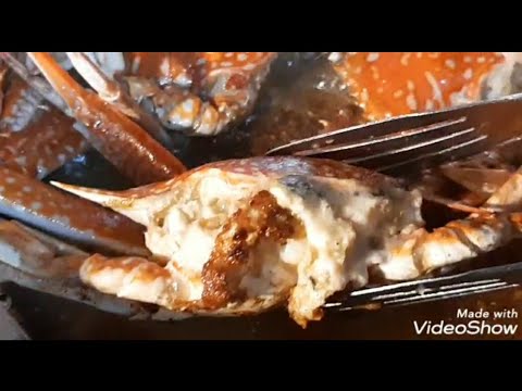 كابوريا مقلية احلى من المهلبية 