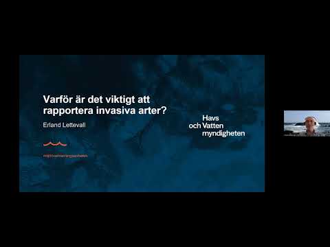 Video: 4 sätt att starta Windows 7 från USB