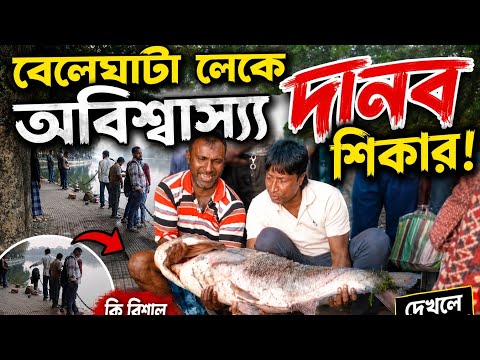 বেলেঘাটা লেকে বিশাল মাছ|Devil fish in Beleghata lake 