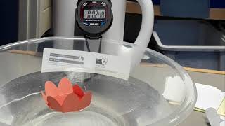 Primary Education Practical Science Activity