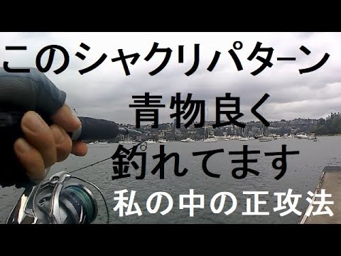 このしゃくり方 青物良く釣れてます ショアジギング ヒラマサ3発の３尾目 Youtube