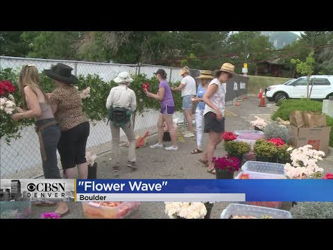 A Flower Wave Is Being Created At The Memorial Outside Of The King Soopers In Boulder