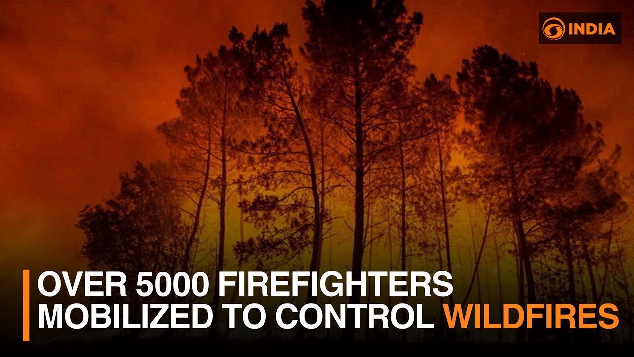 Over 5000 firefighters mobilized to control wildfires | DD India - YouTube