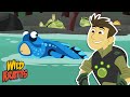 Mudskipper Adventure Quiz