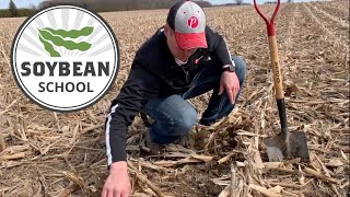 Soybean School: What to do with corn residue