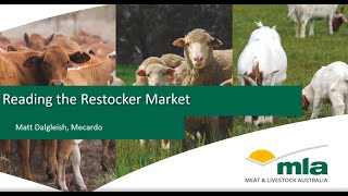 Reading the restocker market