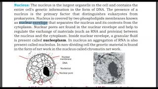 Nucleus Nuclear Membrane Or Nuclear Envelope Nucleoplasm