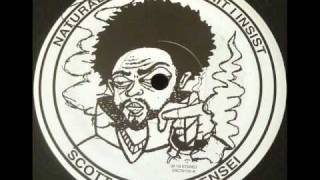 Scott Lark Da Sensei - Ashes To Ashes