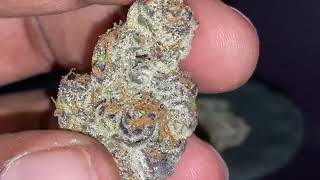 Grape MTN Analysis 