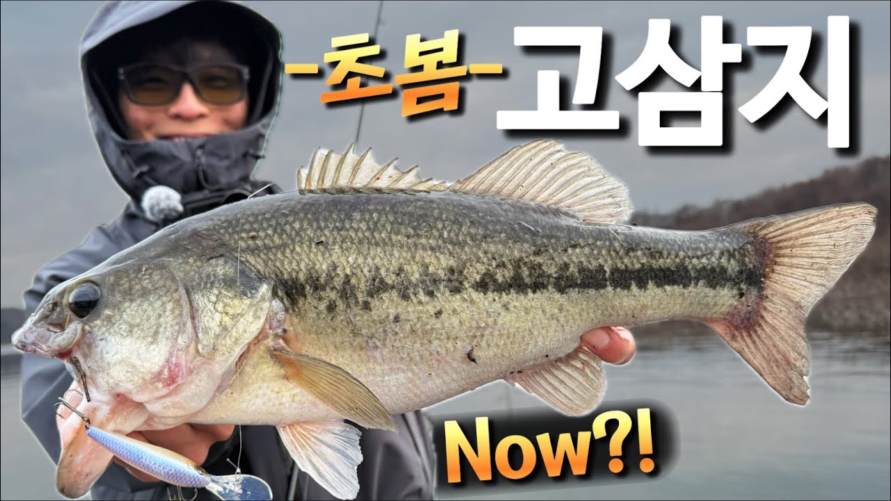 봄인데 어디갈지,어떻게 할지 고민이시라면...?! NOW를 참고해주세요!