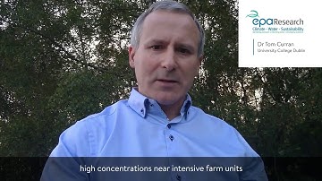 Research Report 347: AmmoniaN2K Project Highlights