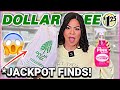 New dollar tree deals you need to buy in 2024