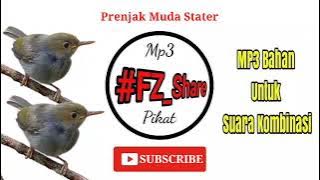 Mp3 Suara Burung Prenjak Muda Nyetater