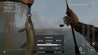 Fishing Planet Türkçe Teknikler Kayak İle Balık Avlıyoruz-8 screenshot 5
