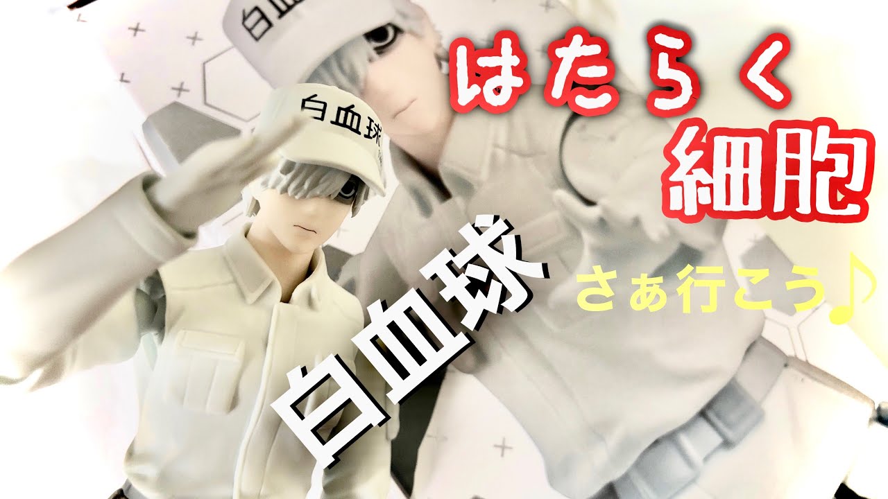 はたらく細胞 白血球 figma - YouTube