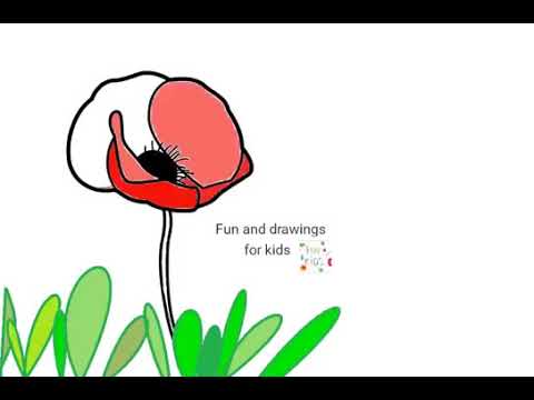 Vídeo: Como Desenhar Uma Papoula