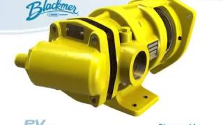 Industrial: No More Gear Box  Blackmer® ProVane® Motor Speed Sliding Vane Pumps