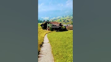 وجازاهم بما صبروا جنه وحريرا .....القارئ زياد محمد حامد #short