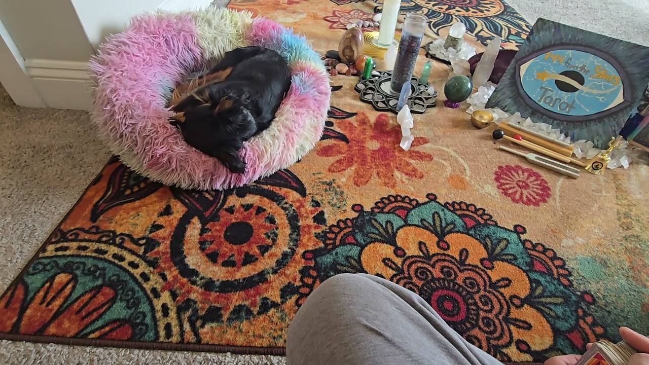 Возвращение Софии. У тебя есть сила творить чудеса.