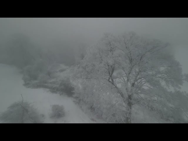 Kevin Kendle - Snowfall