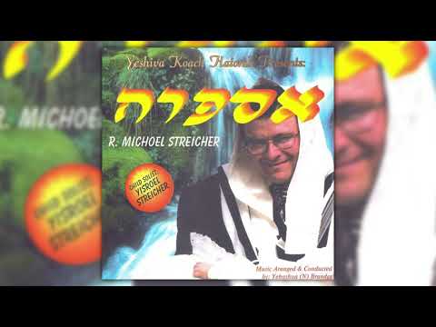 כשם שנכנס | מיכאל שטרייכר | Ksheim Shenichnas | Michoel Streicher