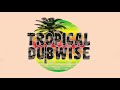 Soldiers 12 tropical dubwise  junior natural  sly  robbie mixed by russ disciple