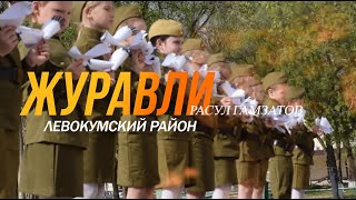 Журавли . Левокумский РАЙон