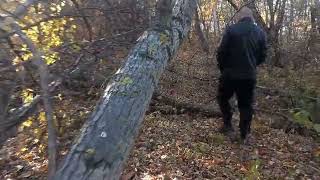 Тайны базы КАФ. 14.10.2025. Территория бывшей войсковой части ВМФ. Воронеж-1. Пригород Хабаровска.