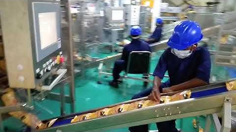 High-Speed Automated Case Packers for String of Pouches | Automatic Case Packer
