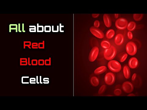 वीडियो: क्या रेड ब्लड सेल्स सर्कुलेट कर रहे हैं?