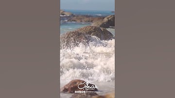 مقتطفات اليوم الحادي عشر من رمضان _2023 #تلاوة_مميزة #سورة_البقرة #صلاة_التراويح #رمضان