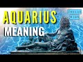 AQUARIUS SIGN IN ASTROLOGY:  Meaning, Traits, Magnetism, Energy, Secrets
